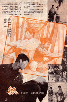 枫