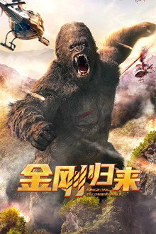金刚归来