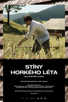 Stíny horkého léta