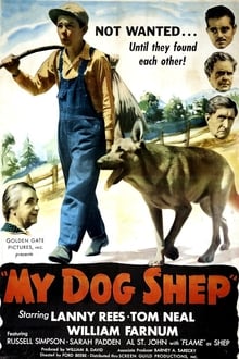 Poster do filme My Dog Shep