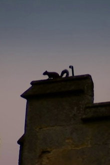 Crisis at the Castle