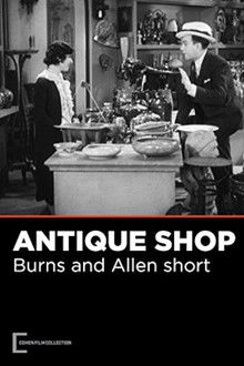 The Antique Shop
