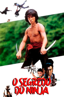 Poster do filme O Segredo do Ninja