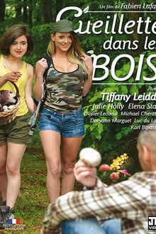 Cueillette Dans Les Bois