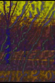 Joose Psychedelia Test