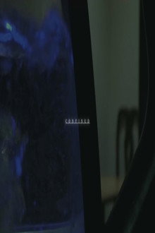 Confined