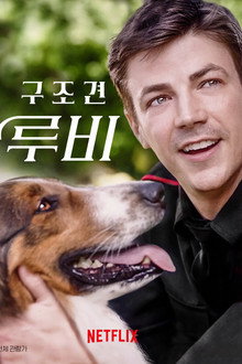 구조견 루비