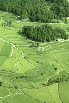 Satoyama I: Japan's Secret Watergarden