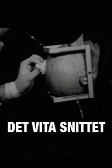 Det vita snittet