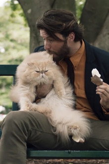 Un Homme et un Chat