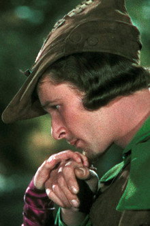 Welcome to Sherwood! The Story of 'The Adventures of Robin Hood'