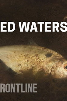 Poisoned Waters