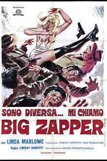 Big Zapper