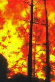 Einsatz-in-der-Flammenhölle