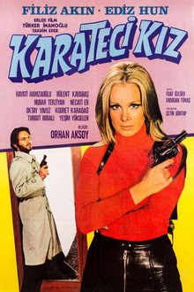 Karateci Kız
