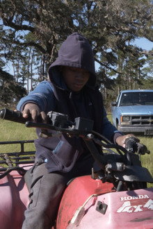 Sapelo