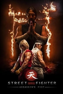 Street Fighter: Assassin's Fist tv show poster