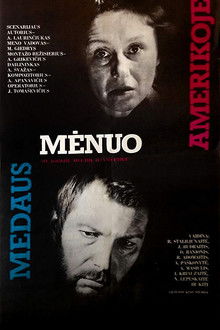 Honeymoon in America