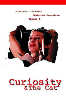 Curiosity & the Cat