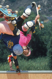 Powell Peralta: The Search for Animal Chin
