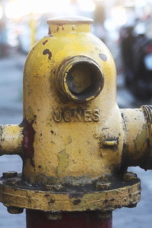 Jones