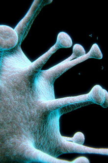 Breakthrough: Virus Fighters