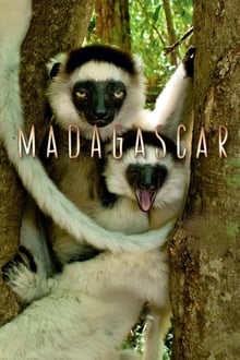 Poster da série Madagascar