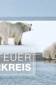 Abenteuer-Polarkreis