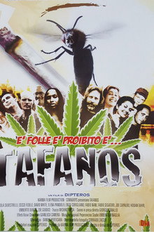 Tafanos