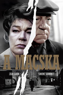 A macska