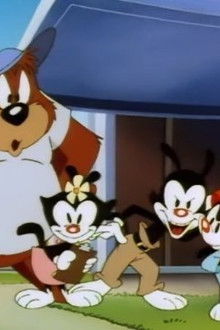 Animaniacs - Season 1