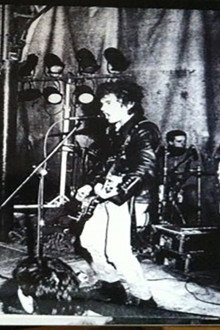 RIP - Punkaren 25 Urteko Historia Bizia / Historia Viva Del Punk
