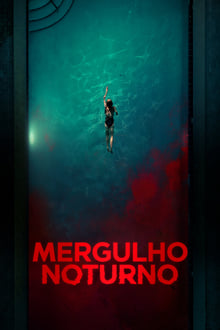Poster do filme Mergulho Noturno