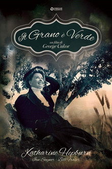 Il grano è verde