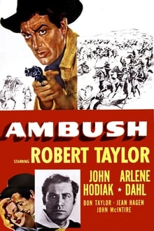 Poster do filme Ambush