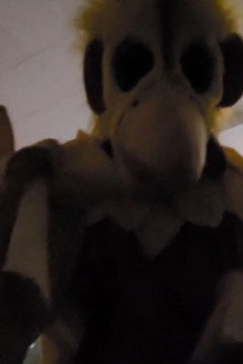 The Mascot