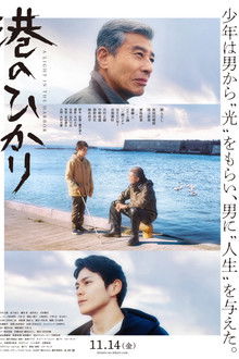 A Light in the Harbor