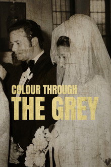 Colour Through the Grey