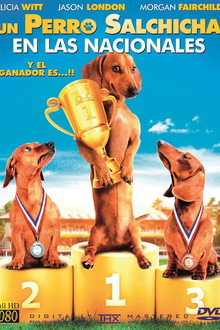 Wiener Dog Nationals