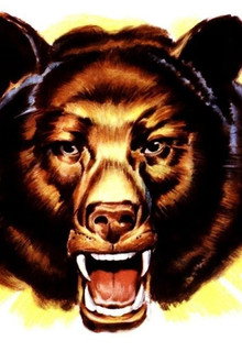 Bear Country
