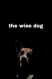 the wise dog