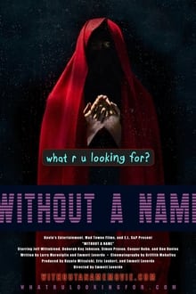 Poster do filme Without a Name