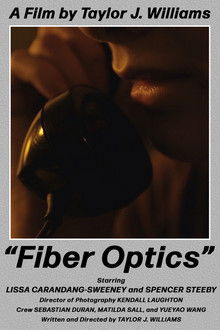Fiber Optics
