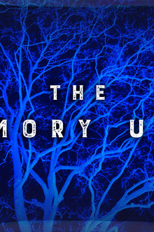 The Memory Unit