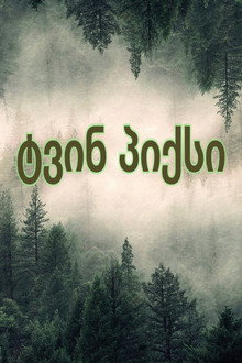 ტვინ პიქსი