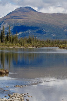 ReWilding Kernwood