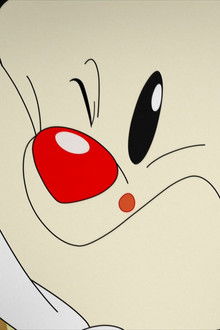 Animaniacs season 1 episode 37