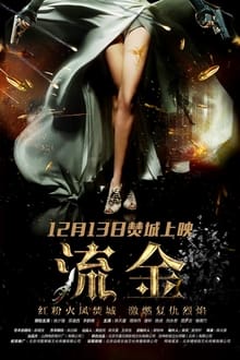 Poster do filme 流金