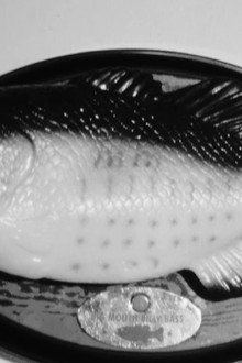 Fish Fear Me