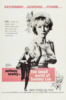 The Small World of Sammy Lee